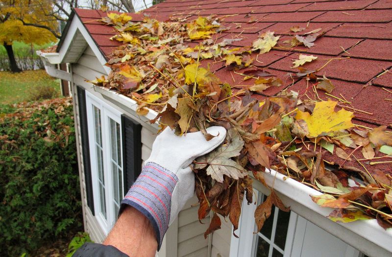 Removing Leaves from Gutters